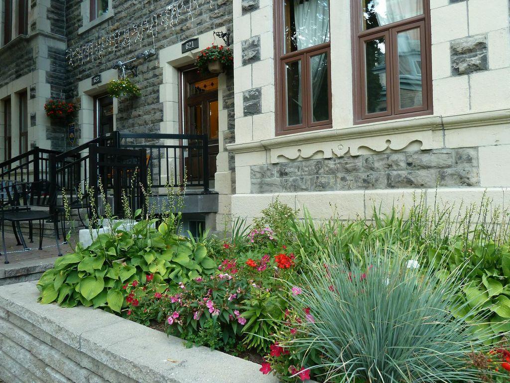 Gite University Bed And Breakfast Montréal Exteriör bild